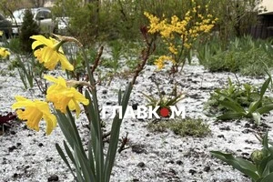 Крижана крупа майже повністю вкрила землю у Києві. 8 квітня 2026 рік