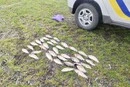 На Київщині двоє рибалок попалися на браконьєрстві: яке покарання на них чекає