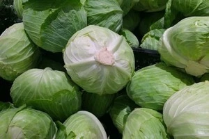 Наразі білоголова капуста в Україні пропонується в середньому на 88% дешевше, ніж рік тому