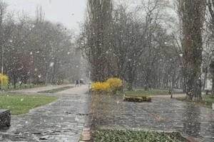 Снігопад у Харкові10 квітня 2026 року