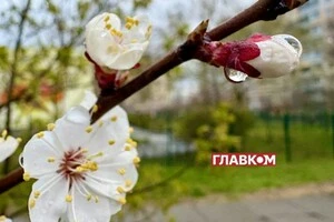 В Україні місцями невеликий дощ та мокрий сніг: погода на 11 квітня 2026