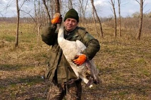 Врятували лебедя фахівці Опачицького природоохоронного науково-дослідного відділення