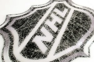 «Флорида Пантер» та «Вінніпег Джетс» не змогли провести другий поспіль сезон на тому ж рівні