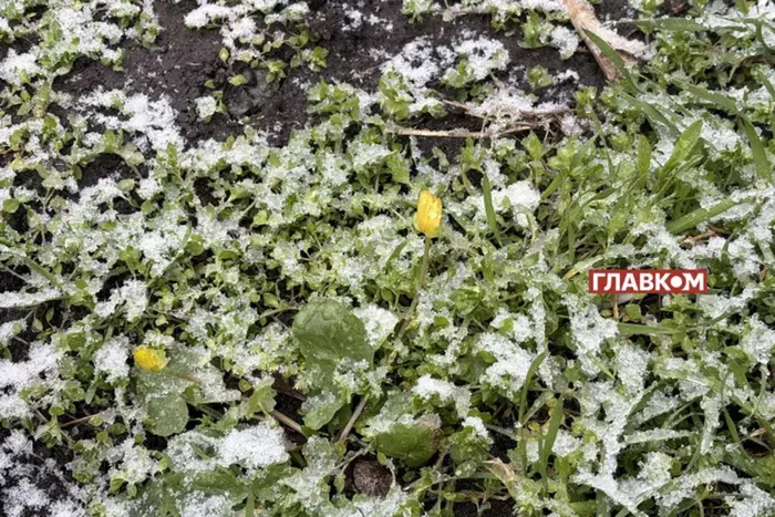 Уночі заморозки знову накриють Україну: які області під загрозою