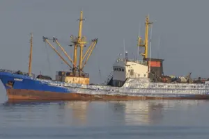 На борту судна перебувало 43 765,18 тонн української пшениці