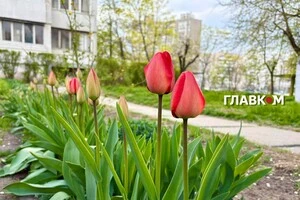 В Україні місцями невеликий дощ: погода на 18 квітня 2026