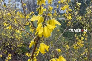 В Україні невеликі дощі: погода на 19 квітня 2026