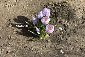 Прогноз погоди на тиждень 20 – 26 квітня 2026 року