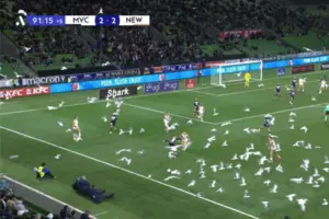 Птахи додали напруги до і без того непростого матчу для «Мельбурн Вікторі» та «Ньюкасл Джетс»