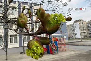 Прогноз погоди на 21 квітня