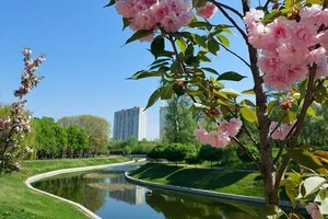 Парк і водойма у Солом'янському районі