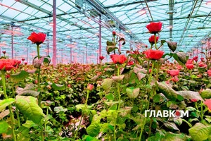 Продажі квітів різко впали у 2022-му, але зараз майже повернулися до довоєнного рівня
