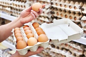 Іспанія, Велика Британія та Польща є головними покупцями українських яєць у 2026 році