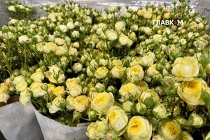 Найбільше на собівартість квітів вплинули енергія, газ та доставка