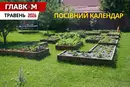 Посівний календар на травень 2026: час масового висаджування та боротьби за майбутній врожай
