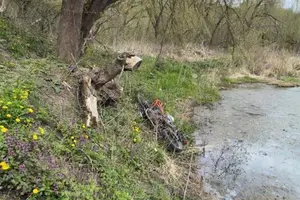 Поліція розслідує ДТП