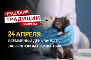 24 апреля: какой сегодня праздник, традиции и запреты