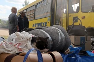 Українці змушені покидати свої домівки через масові обстріли ворога