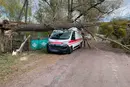 Негода в Україні: повалено дерева, розтрощено «швидку» (фото)