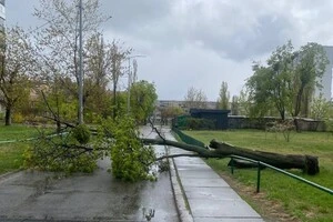 26 квітня у Києві через вітер зафіксовано падіння дерев