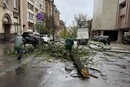 Наслідки буревію у Києві: комунальники назвали кількість повалених дерев (фото)