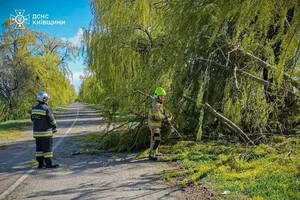 Рятувальники розчищають проїжджу частину від гілок, повалених сильним вітром