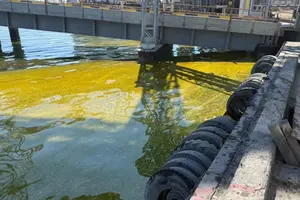 Інспекція відібрала проби морської води для лабораторних досліджень