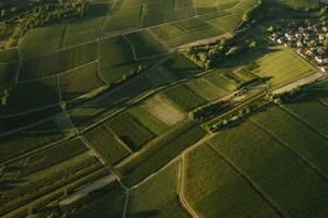 Кабмін оновив методику оцінки землі