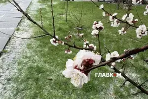 Похолодання триває. Синоптики попередили про небезпеку