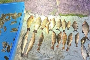 Громадянин здійснював вилов риби у період дії нерестової заборони, використовуючи сітки з ліски