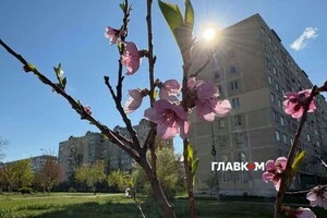 Уночі 29 та 30 квітня в Києві очікуються заморозки: оголошено жовтий рівень небезпечності