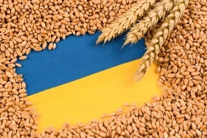 Крадене зерно. Ізраїль між Україною і страхом перед Росією