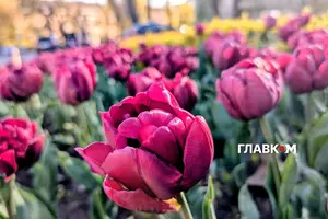 1 травня стане перехідним днем від холодної до теплішої погоди