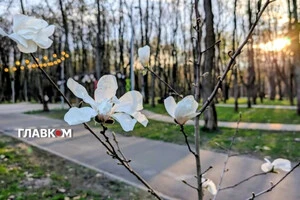 Холод відступає. З початку травня в Україну повернеться тепло