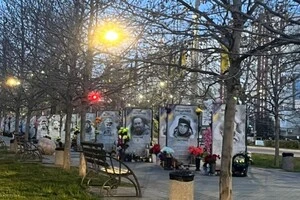 За викрадення квітів з  Алеї пам’яті Героїв чоловікові загрожує штраф, громадські роботи або адміністративний арешт