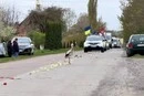 На Волині лелека провів полеглого військового в останню путь (відео)