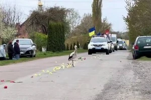 На дорозі перед кортежем, який віз полеглого військового, опинився лелека