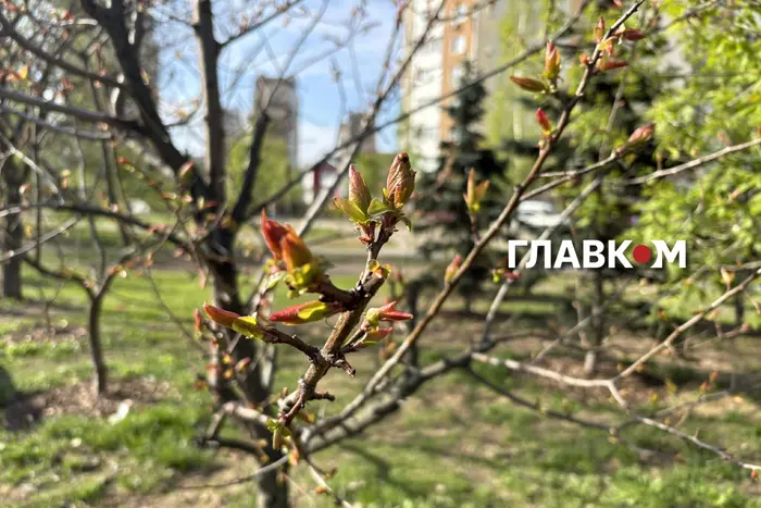 В Україні без опадів: погода на 3 травня 2026