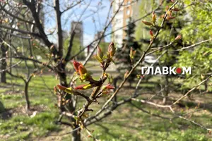 В Україні без опадів: погода на 3 травня 2026