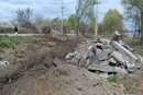 У Києві виявлено масове нищення дерев у заказнику «Озеро Заплавне» (фото)