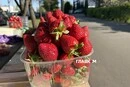 У Києві з’явилася закарпатська полуниця: скільки коштує кілограм першої ягоди