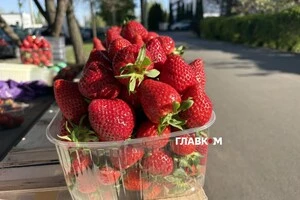 Перша полуниця з Закарпаття у Києві