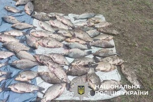 Попередньо сума встановлених збитків державі становить понад 90 тис. грн