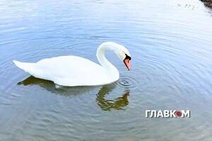 В Україні невелика хмарність 5 травня