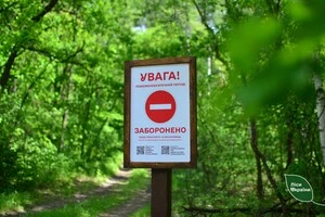 В умовах воєнного стану ліси та лісопаркові території відвідувати заборонено