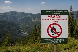 Особлива увага приділяється важкодоступним ділянкам лісу