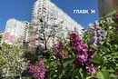 В Україні спекотно та сонячно, без опадів: прогноз погоди на 7 травня 2026