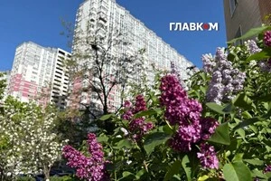 В Україні спекотно та сонячно, без опадів: прогноз погоди на 7 травня 2026