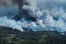 На кордоні з Росією палають тисячі гектарів лісу (відео)