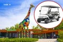 Київський зоопарк знову купує гольфкари: деталі